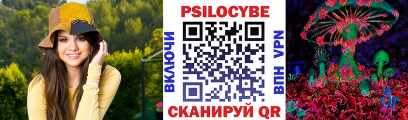 МЕГА как войти  Берёзовка  Псилоцибиновые грибы мицелий 
